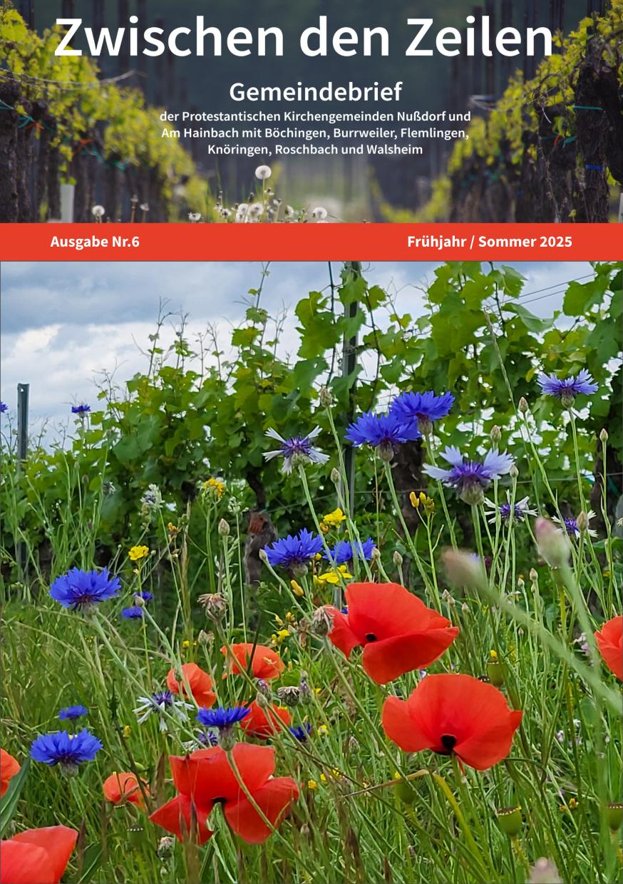 2025 01 fruehlingsommer titel